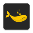 �������С˵