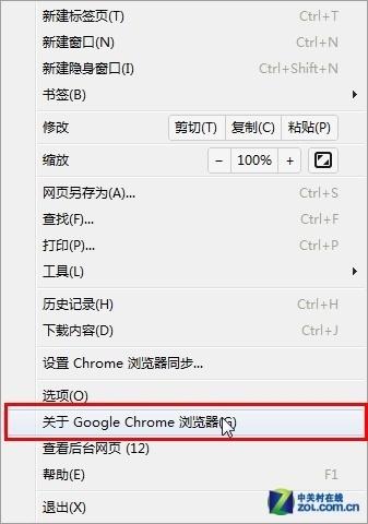 _P(gun)Google Chromeg[