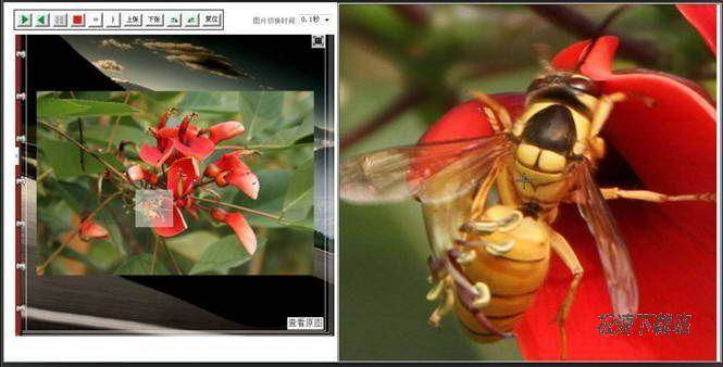 【<em>照片播放器</em> 3.0 稳定版】多功能<em>图片播放软件</em>