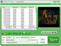 iOrgSoft DVD Ripper ͼ