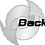 BackRex Expert Backup