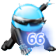 66