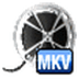 Bigasoft MKV Converter