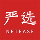 ������ѡ